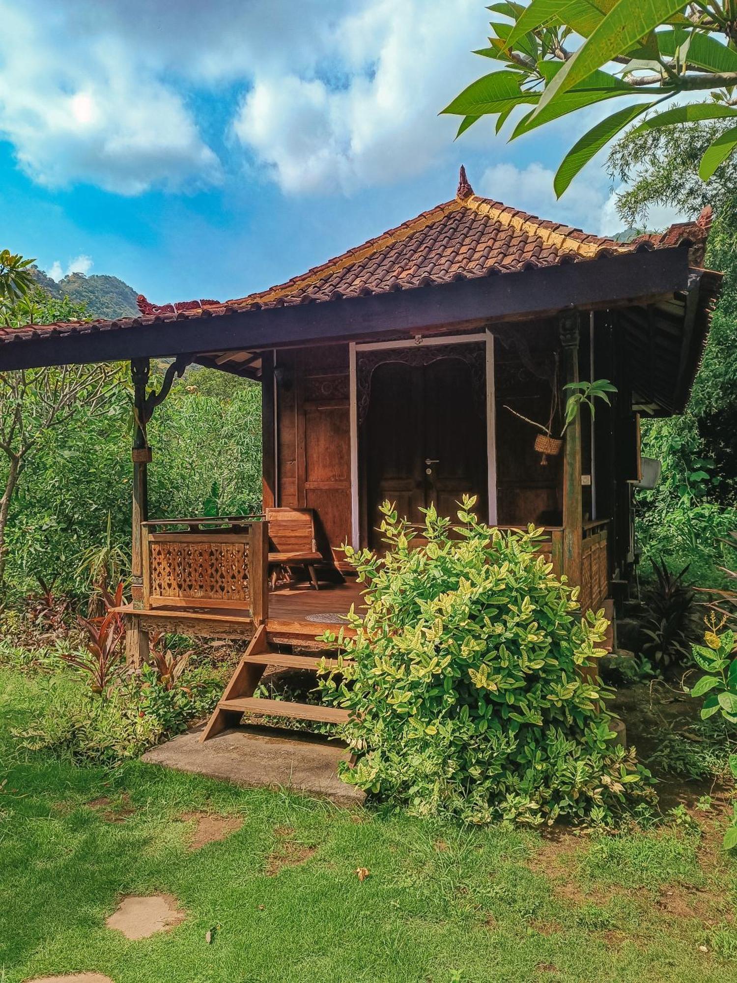 Alaya Ecolodge Pemuteran Esterno foto